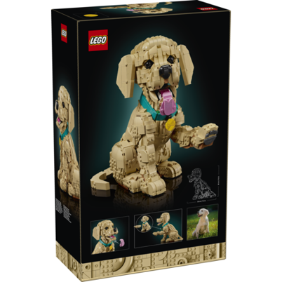 LEGO Icons 11384 Golden retriever-hvalp