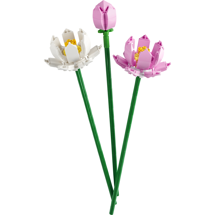 LEGO Icons 40647 Lotusblomster
