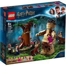 LEGO Harry Potter 75967 Den Forbudte Skov: Nidkjærs møde