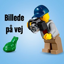LEGO Icons 10367 Ringenes Herre: Balrog-bogniche